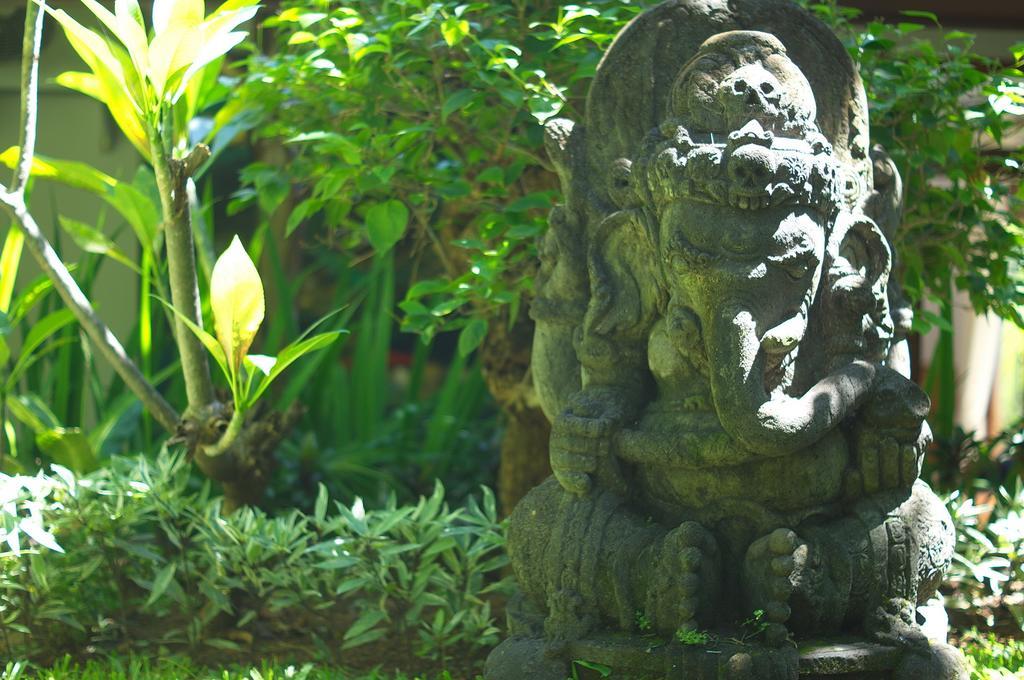 Indo Rumah Zengarden Pabean Buleleng Szoba fotó