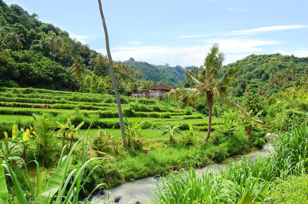 Indo Rumah Zengarden Pabean Buleleng Kültér fotó
