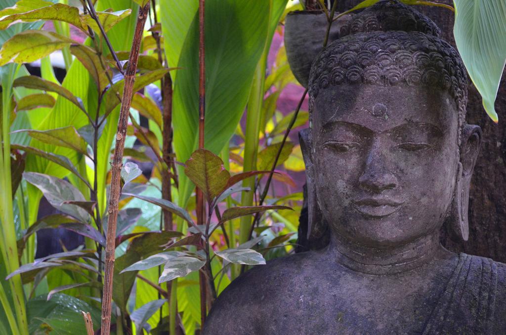 Indo Rumah Zengarden Pabean Buleleng Kültér fotó