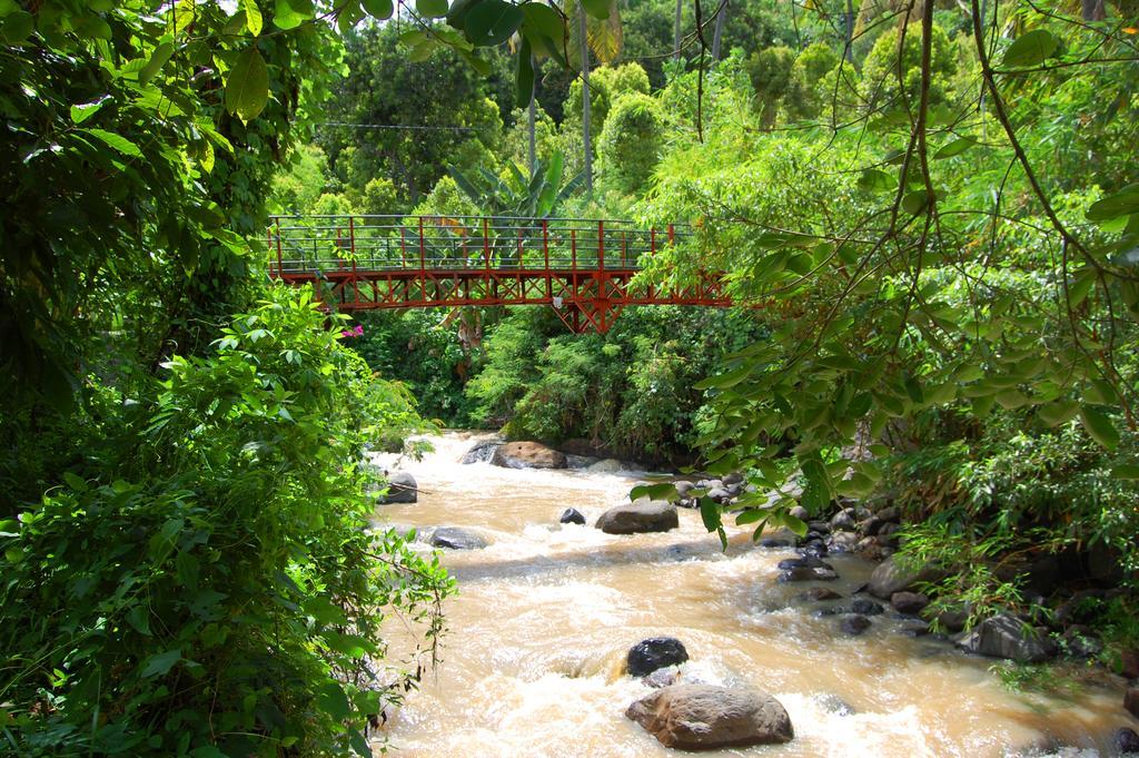 Indo Rumah Zengarden Pabean Buleleng Kültér fotó