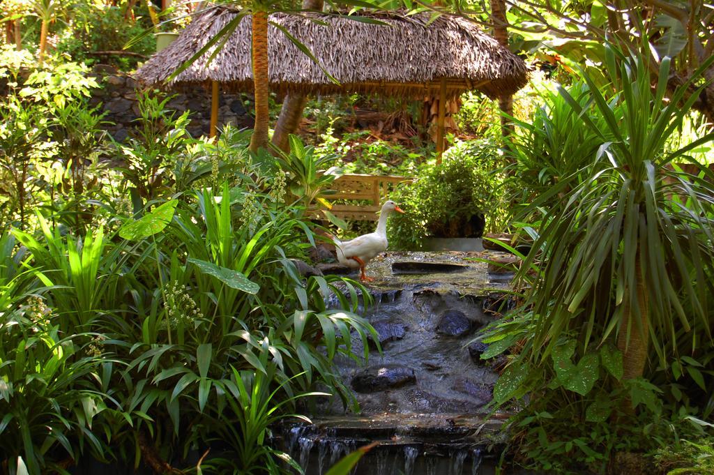 Indo Rumah Zengarden Pabean Buleleng Kültér fotó