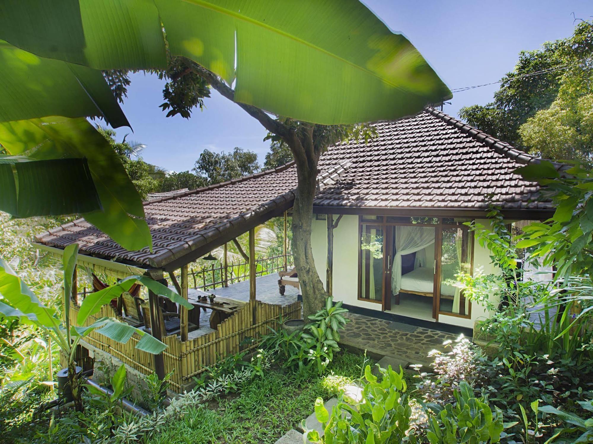 Indo Rumah Zengarden Pabean Buleleng Kültér fotó