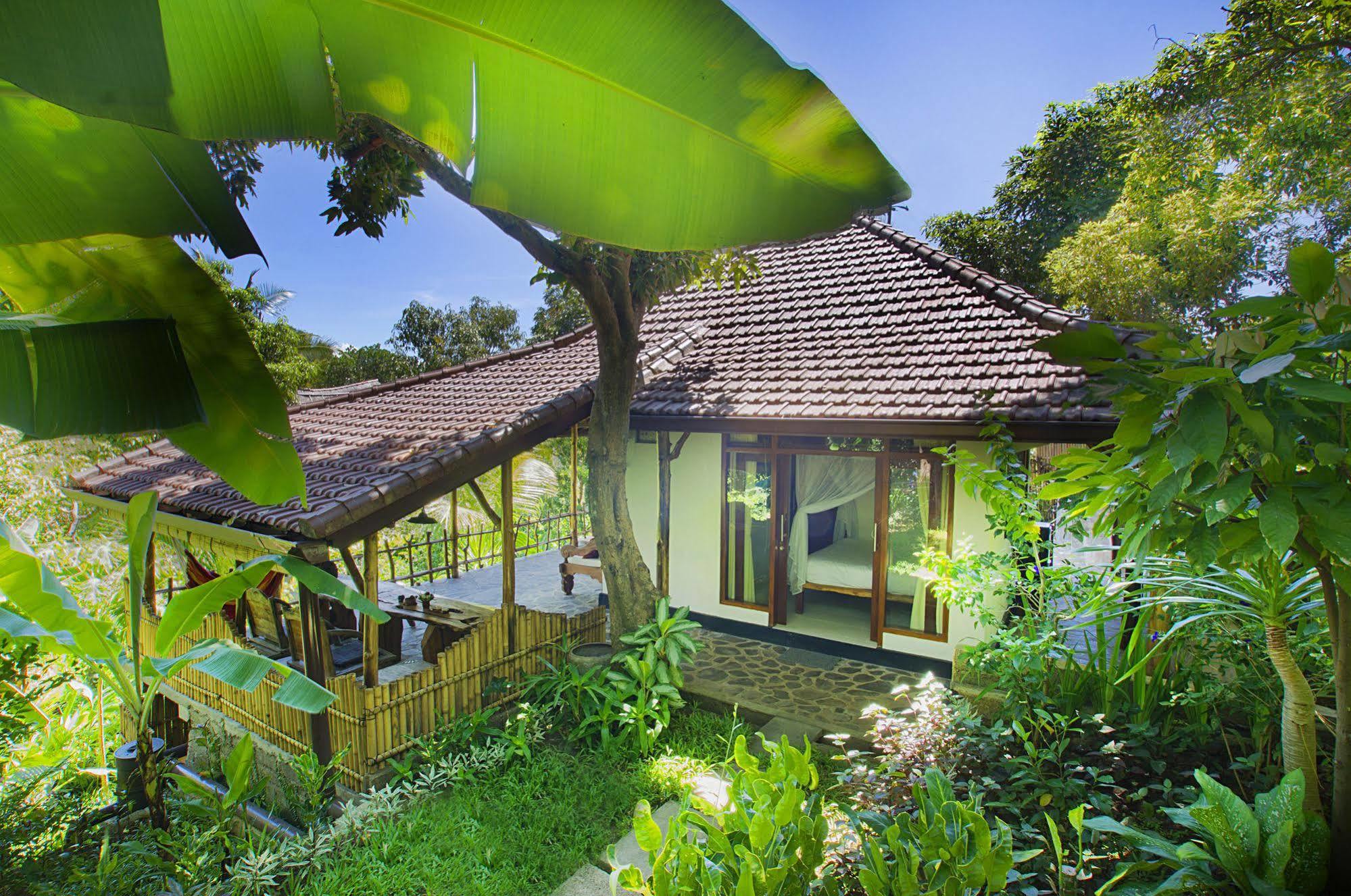 Indo Rumah Zengarden Pabean Buleleng Kültér fotó